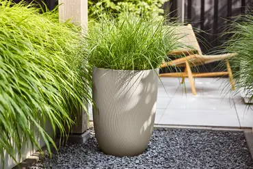 Pot sereh hg d40cm paddenstoel bg sfeerfoto, Elho, tuincentrumoutlet.com