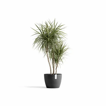 Pot stockholm 40cm d.grijs sfeerfoto, Ecopots, tuincentrumoutlet.com