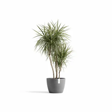 Pot stockholm 40cm grijs sfeerfoto, Ecopots, tuincentrumoutlet.com