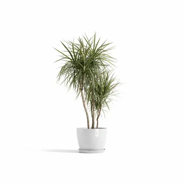 Pot stockholm 40cm puur wit sfeerbeeld, Ecopots, tuincentrumoutlet.com