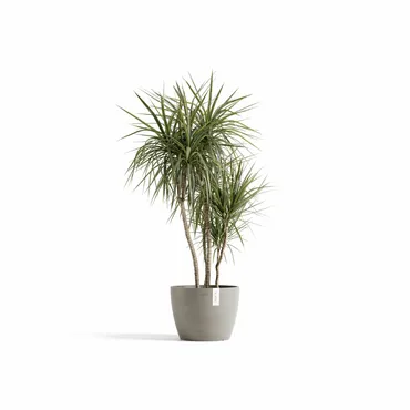 Pot stockholm 40cm taupe sfeerfoto, Ecopots, tuincentrumoutlet.com