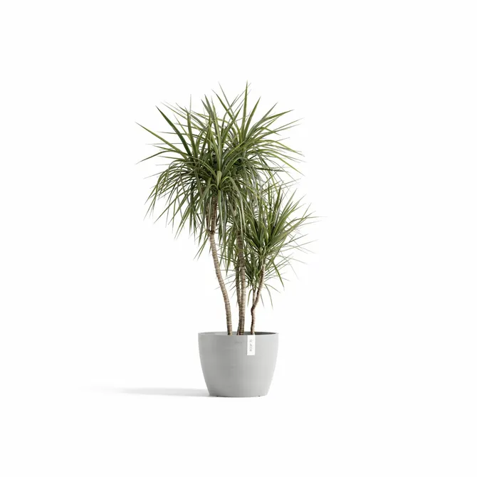 Pot stockholm 40cm wit grijs met plant, Ecopots, tuincentrumoutlet.com