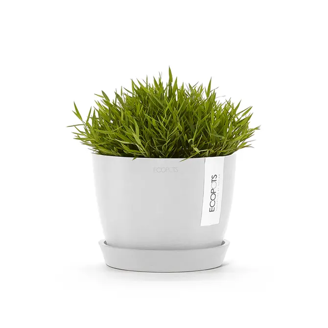 Pot stockholm d16cm puur wit sfeerbeeld, Ecopots, tuincentrumoutlet.com