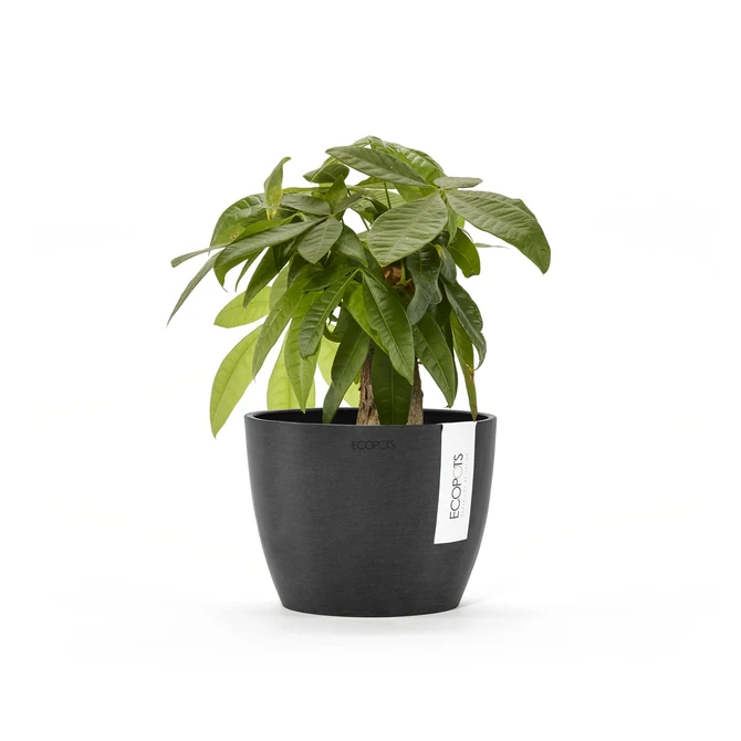 Stockholm 16 Donkergrijs sfeer, Ecopots, tuincentrumoutlet.com
