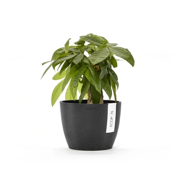 Stockholm 16 Donkergrijs sfeer, Ecopots, tuincentrumoutlet.com