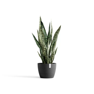 Pot stockholm d24cm donkergrijs sfeer, Ecopots, tuincentrumoutlet.com