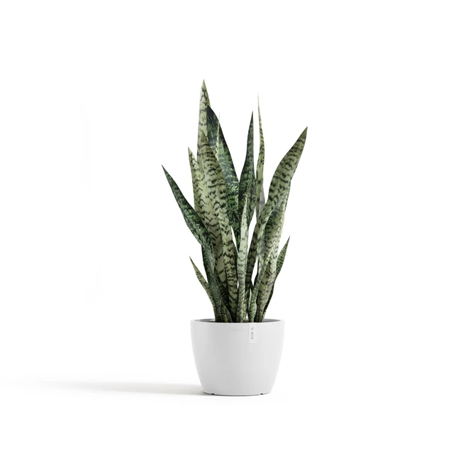 Pot stockholm d24cm puur wit sfeer, Ecopots, tuincentrumoutlet.com