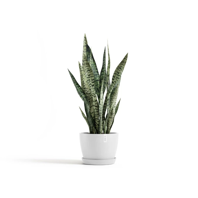 Pot stockholm d24cm puur wit sfeerbeeld, Ecopots, tuincentrumoutlet.com