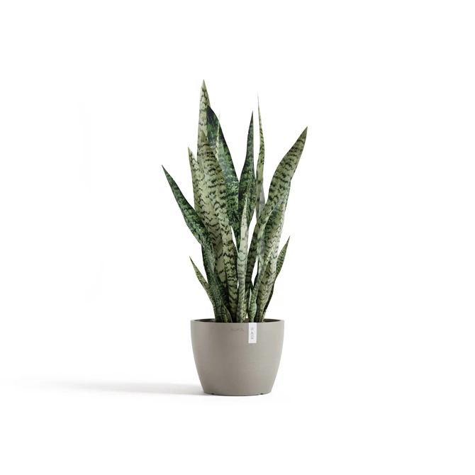 Pot stockholm d24cm taupe sfeer, Ecopots, tuincentrumoutlet.com