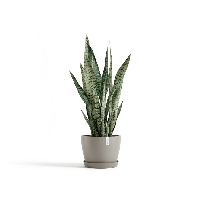 Pot stockholm d24cm taupe sfeerbeeld, Ecopots, tuincentrumoutlet.com