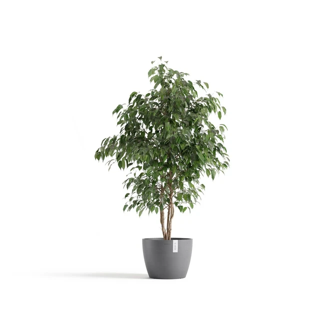 Pot stockholm d31cm grijs sfeerfoto, Ecopots, tuincentrumoutlet.com