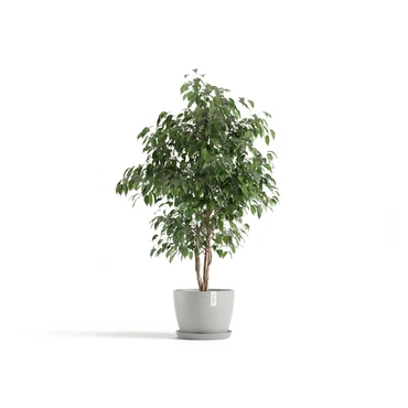 Pot stockholm d31cm puur wit sfeerbeeld, Ecopots, tuincentrumoutlet.com