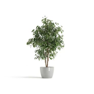 Pot stockholm d31cm witgrijs met plant, Ecopots, tuincentrumoutlet.com