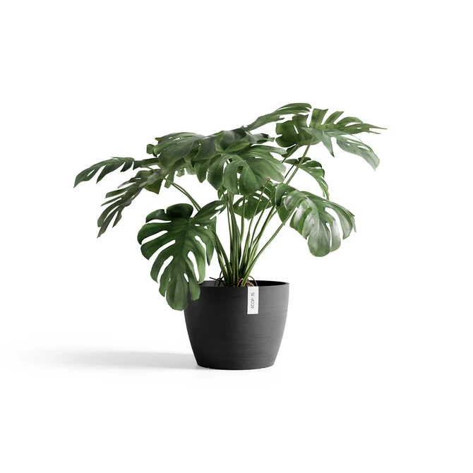 Stockholm 45 Donkergrijs sfeer, Ecopots, tuincentrumoutlet.com