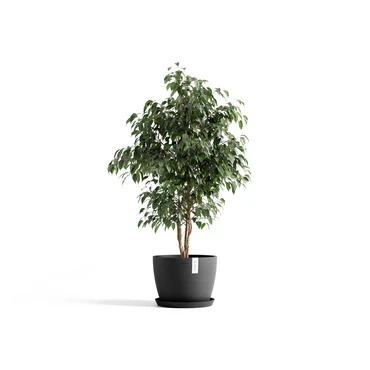 Stockholm 45 Donkergrijs sfeerbeeld, Ecopots, tuincentrumoutlet.com