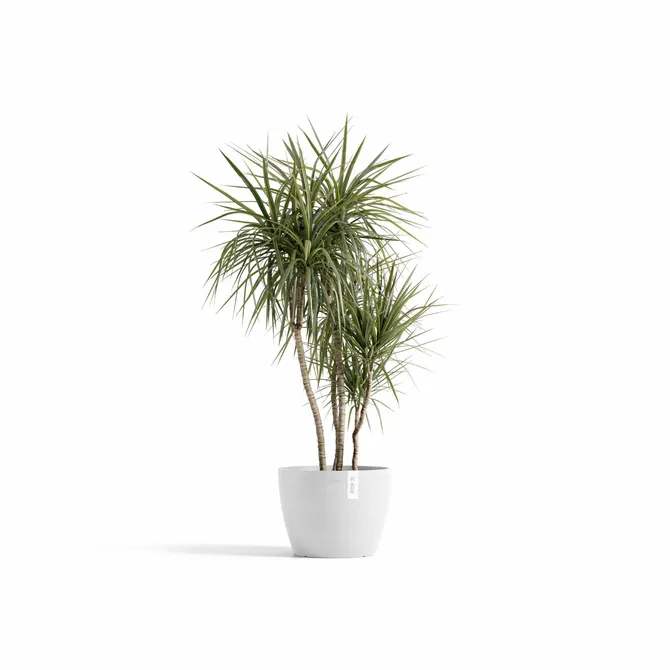 Pot stockholm d45cm puur wit sfeer, Ecopots, tuincentrumoutlet.com