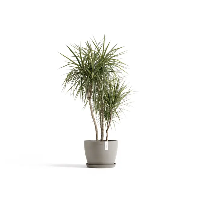 Pot stockholm d45cm taupe sfeerbeeld, Ecopots, tuincentrumoutlet.com