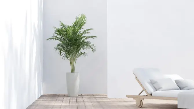 Pot stockholm high h60cm puur wit sfeerbeeld, Ecopots, tuincentrumoutlet.com