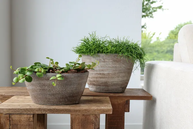 Pot tokio ovl 33x16x23cm bruin sfeerbeeld, HS Potterie, tuincentrumoutlet.com