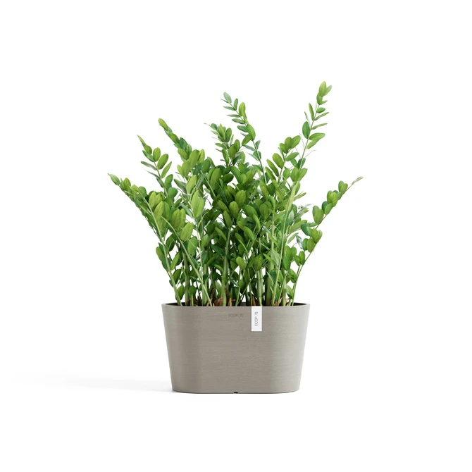 Tokyo 30 Taupe sfeer, Ecopots, tuincentrumoutlet.com
