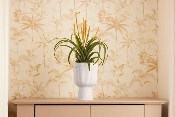 Pot vibes fold coupe d14cm l.wit sfeer, Elho, tuincentrumoutlet.com