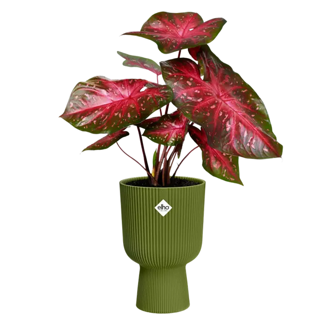 Pot vibes fold coupe d30cm varengrn sfeer, Elho, tuincentrumoutlet.com