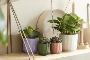 Pot vibes fold d11cm linnen wit sfeer, Elho, tuincentrumoutlet.com