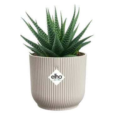 Pot vibes fold d11cm linnen wit met plant, Elho, tuincentrumoutlet.com