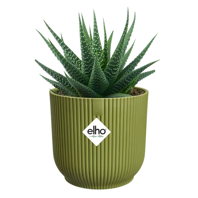 Pot vibes fold d11cm varengroen - afbeelding 3