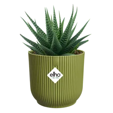 Pot vibes fold d11cm varengroen - afbeelding 3