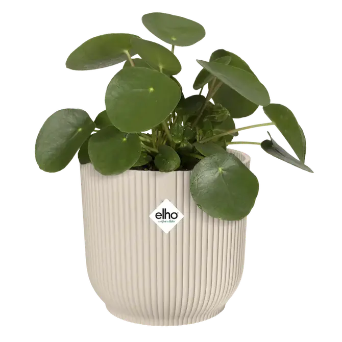 Pot vibes fold d18cm linnen wit met plant, Elho, tuincentrumoutlet.com