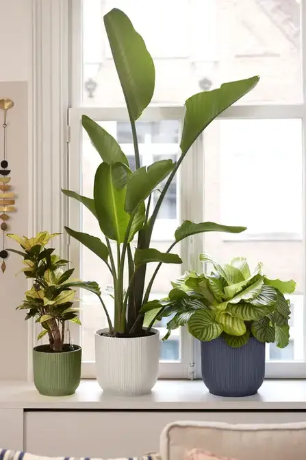 Pot vibes fold d22cm linnen wit sfeer, Elho, tuincentrumoutlet.com