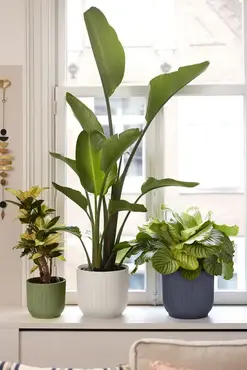 Pot vibes fold d22cm linnen wit sfeer, Elho, tuincentrumoutlet.com