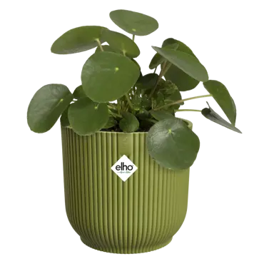 Pot vibes fold d22cm varengroen - afbeelding 3