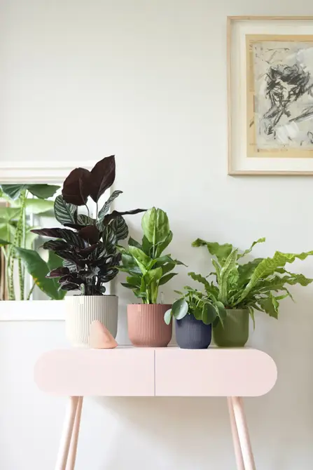 Pot vibes fold d22cm varengroen sfeer, Elho, tuincentrumoutlet.com