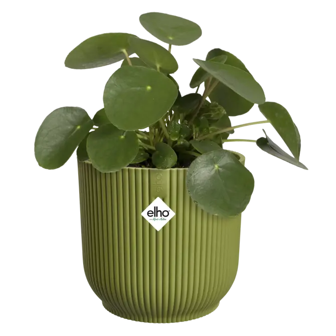 Pot vibes fold d25cm varengroen - afbeelding 3