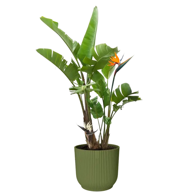 Pot vibes fold d30cm varengroen - afbeelding 4