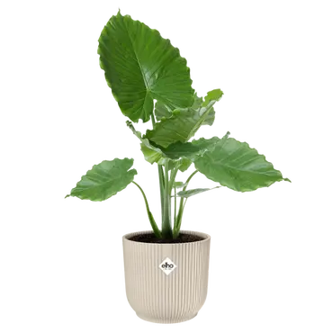Pot vibes fold d40cm linnen wit sfeer, Elho, tuincentrumoutlet.com