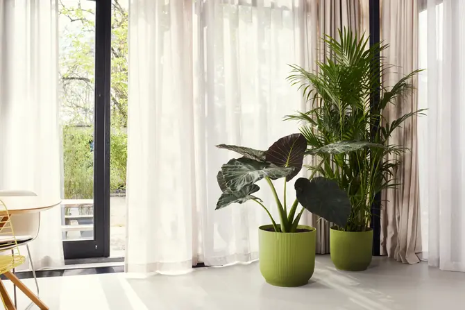 Pot vibes fold d40cm varengroen sfeerbeeld, Elho, tuincentrumoutlet.com