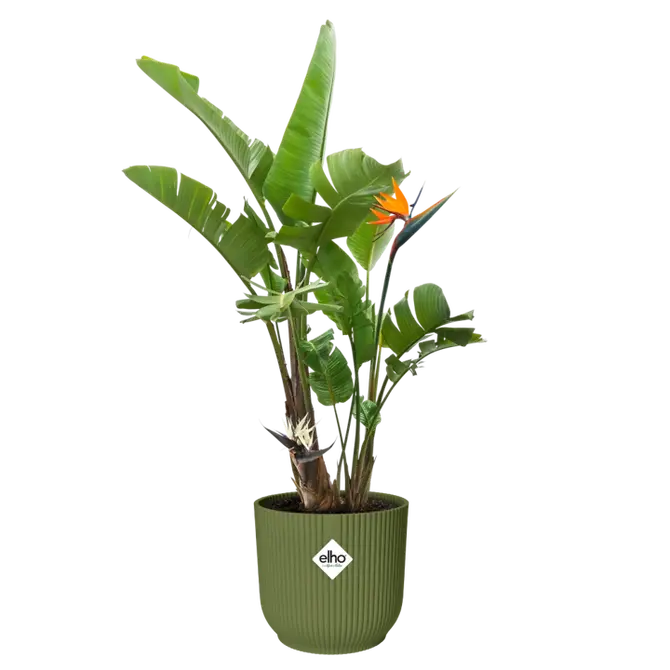 Pot vibes fold d40cm varengroen sfeer, Elho, tuincentrumoutlet.com