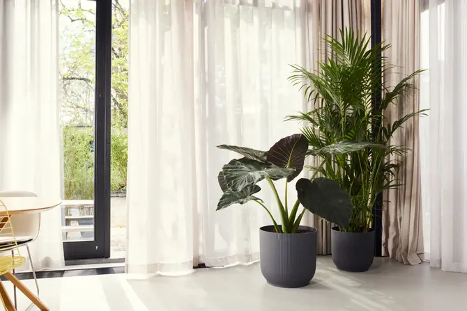 Pot vibes fold d47cm antraciet sfeerbeeld, Elho, tuincentrumoutlet.com