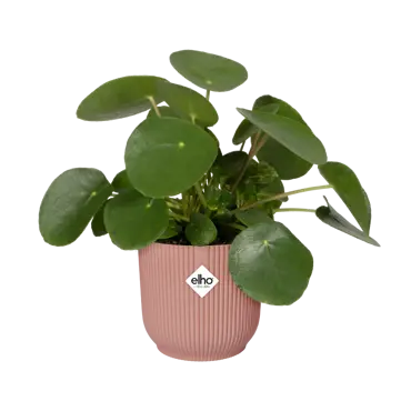 Pot vibes fold d47cm delicaat roze - afbeelding 3