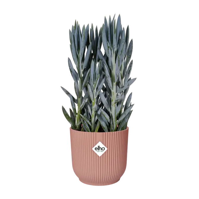 Pot vibes fold d47cm delicaat roze - afbeelding 5