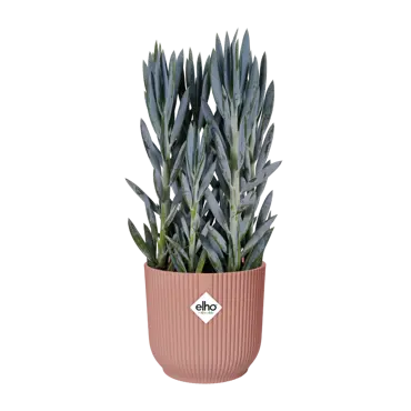 Pot vibes fold d47cm delicaat roze - afbeelding 5