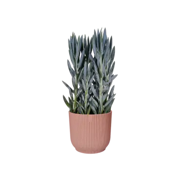 Pot vibes fold d47cm delicaat roze - afbeelding 6