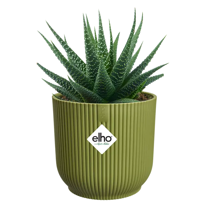 Pot vibes fold d9cm varengroen - afbeelding 3