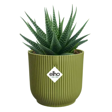 Pot vibes fold d9cm varengroen - afbeelding 3