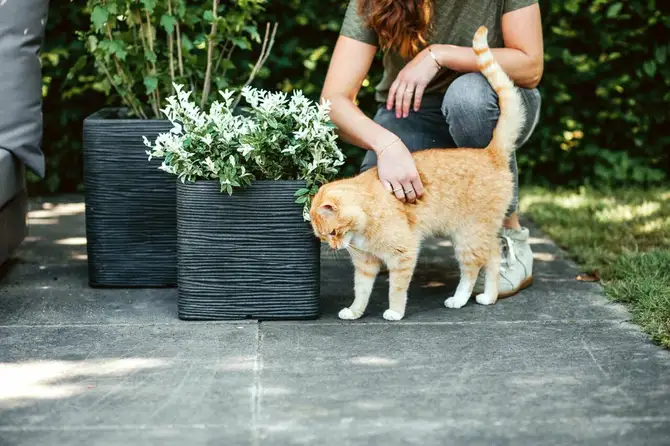 Planter square Rib NL 30x30x30 black sfeerbeeld, Capi Europe, tuincentrumoutlet