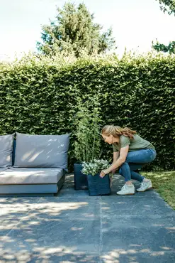 Planter square Rib NL 30x30x30 black sfeer, Capi Europe, tuincentrumoutlet