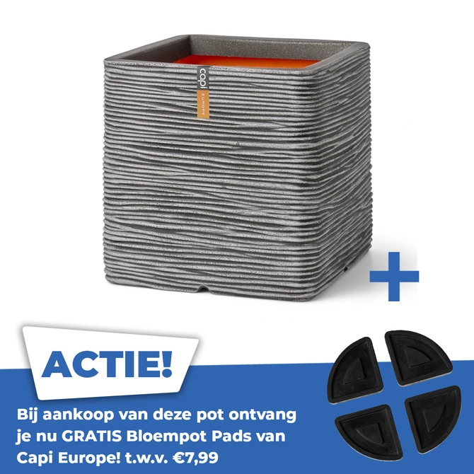 Pot vierkant rib nl l50b50h50 antraciet - afbeelding 1